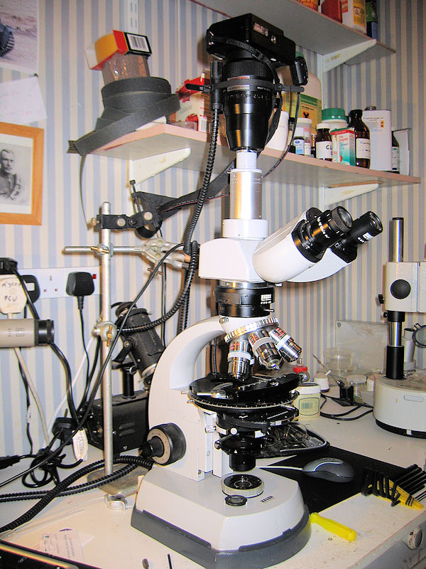 Zeiss Standard DIC Modifications